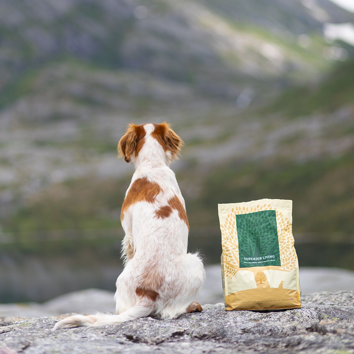 ESSENTIAL SUPERIOR LIVING SMALL BREED 2,5kg